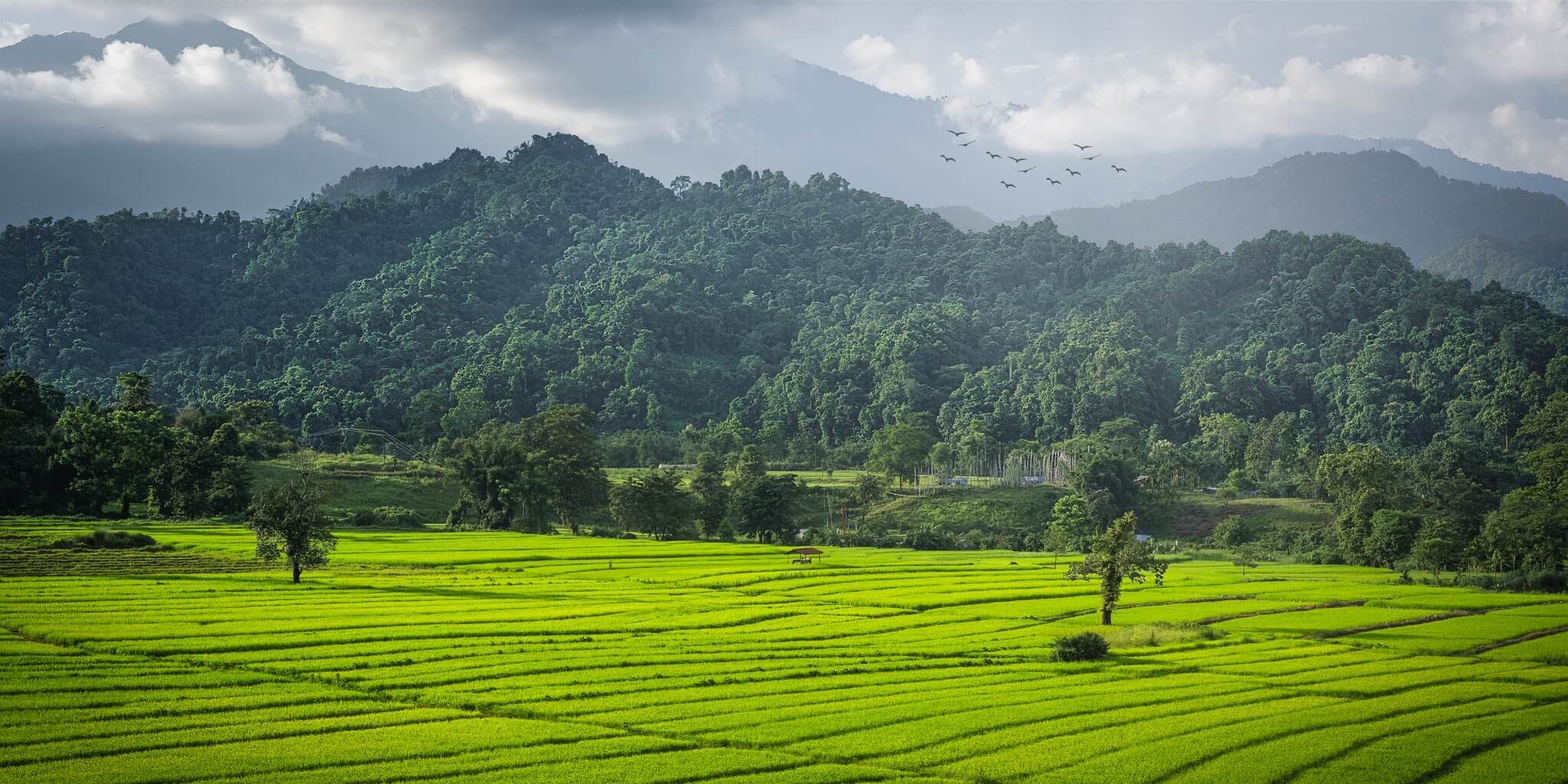 Gelephu Farm